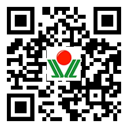 济南金锣青青草污污污APP下载
